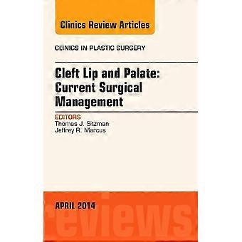 Lippen-Kiefer-Gaumenspalte: Aktuelles chirurgisches Management, eine Frage der Kliniken für Plastische Chirurgie (Die Kliniken: Chirurgie)