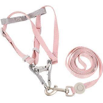 Adjustable Dog Harness and Leash Set for Puppy 1Set with Assorted Colors