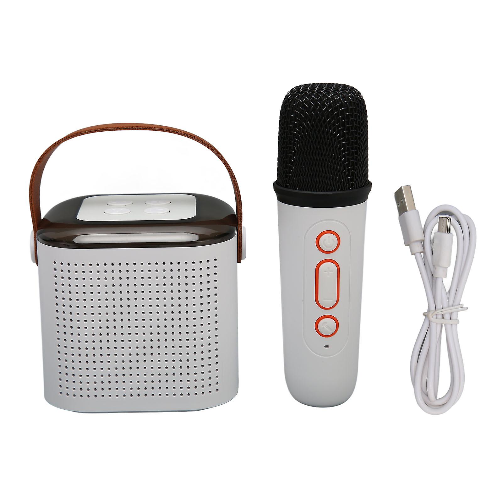 Portable Karaoke Machine with Stereo Sound, RGB Lights & Bluetooth for Home Parties