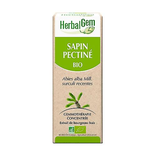 Organic fir - 50 ml 50 ml