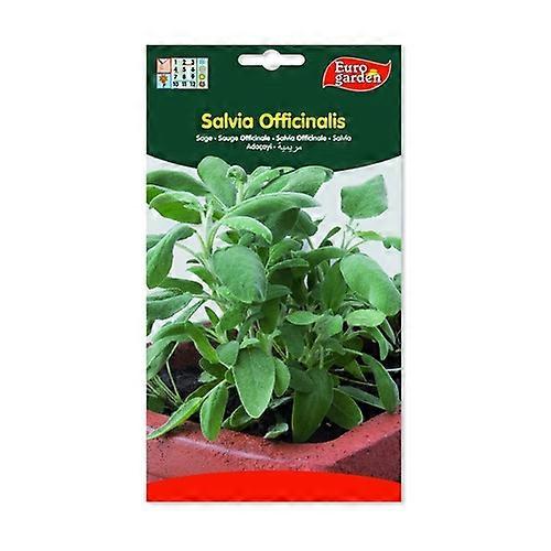 Salvia Officinalis Seeds 2 g
