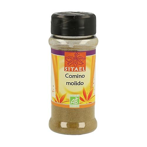 Cumin Powder 40 g