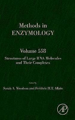 Structures of Large RNA Molecules and Their Complexes