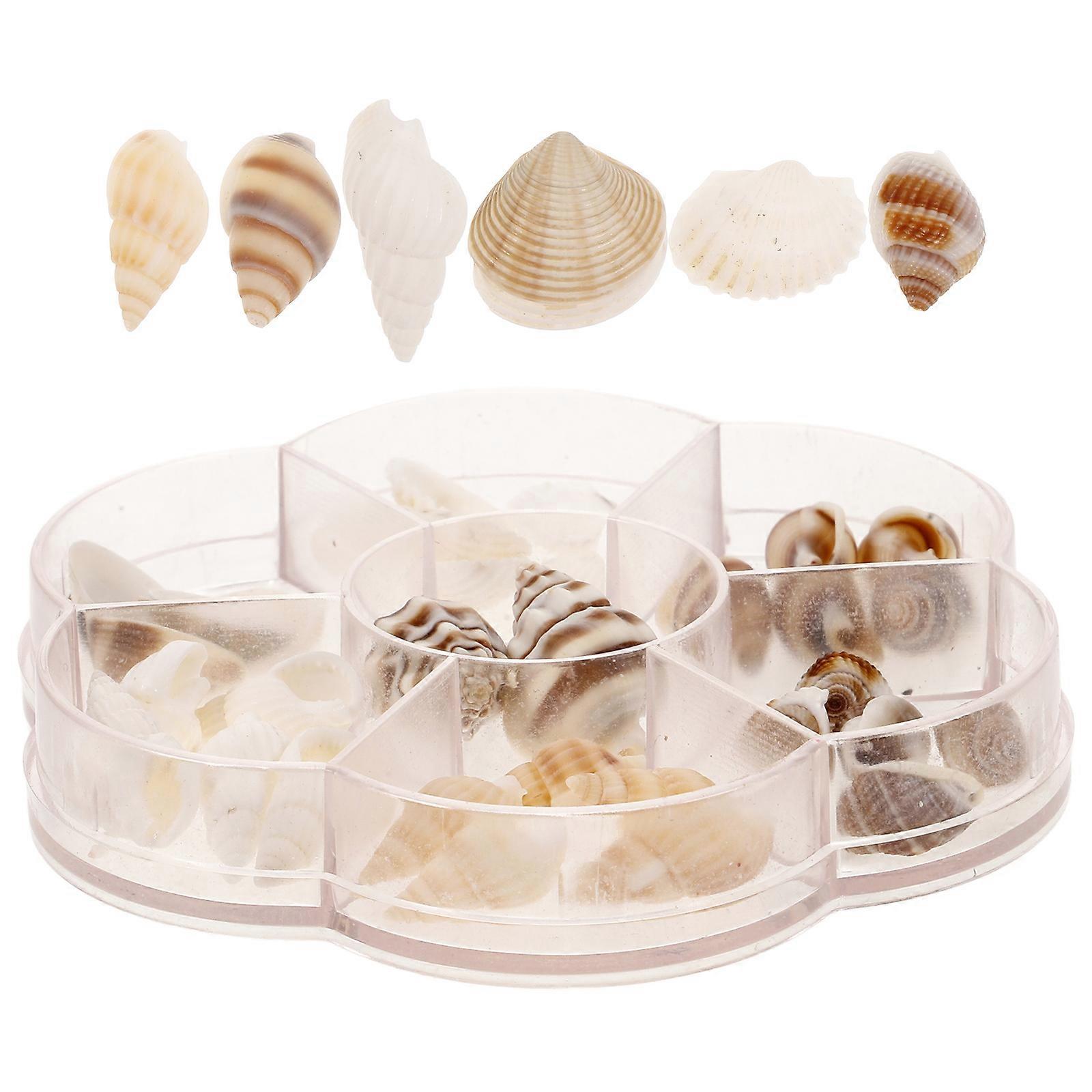 Mini Seashells for Crafts Multi Color Shells Ideal for Decoration Unique Aquarium Decor 1 Box