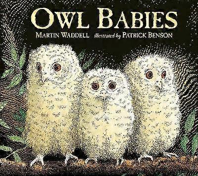 Owl Babies