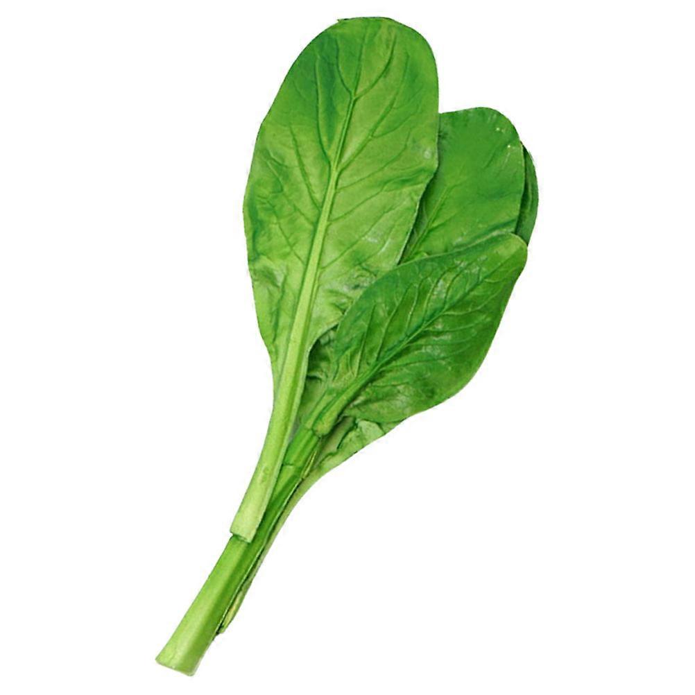 Simulation Vegetable Model Fake Vegetable for 1 Decoration Prop