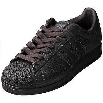 adidas Superstar Ii Unisex Fashion Trainers in Dark Brown