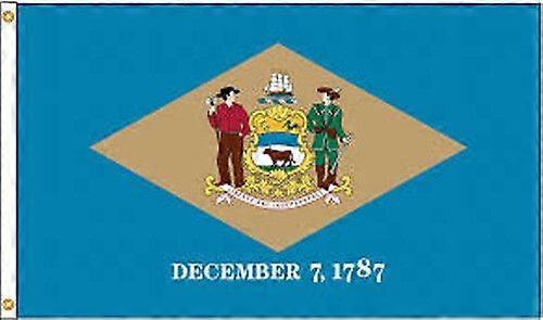 Delaware-Staatsflagge Zy0353