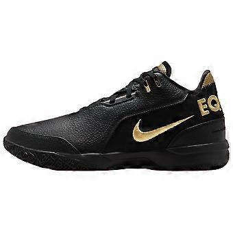 Nike Zoom LeBron Nxxt Gen Ampd 'Equity' FJ1566-103