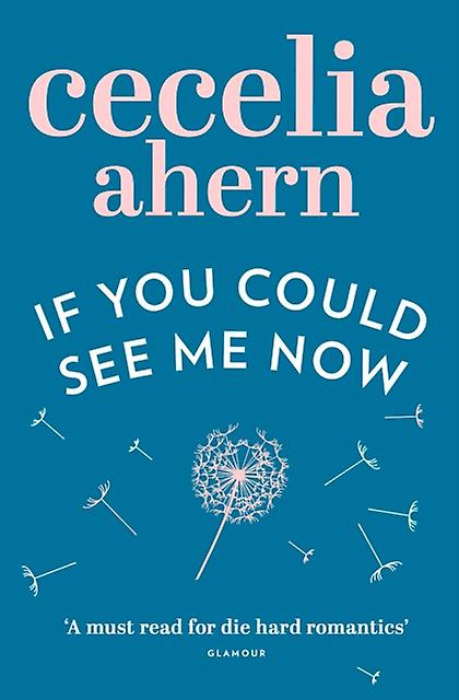 If You Could See Me Now Pb - Cecelia Ahern