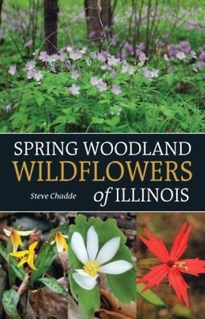 Spring Woodland Wildflowers Of Illinois by Steve Chadde Paperback