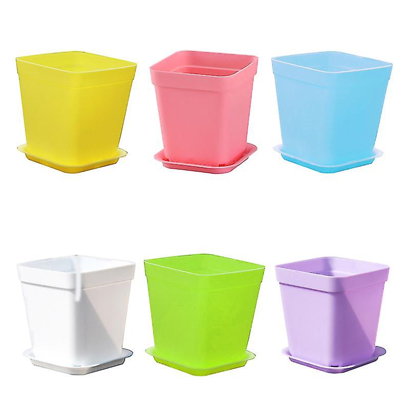 12pcs Fresh Flower Pot