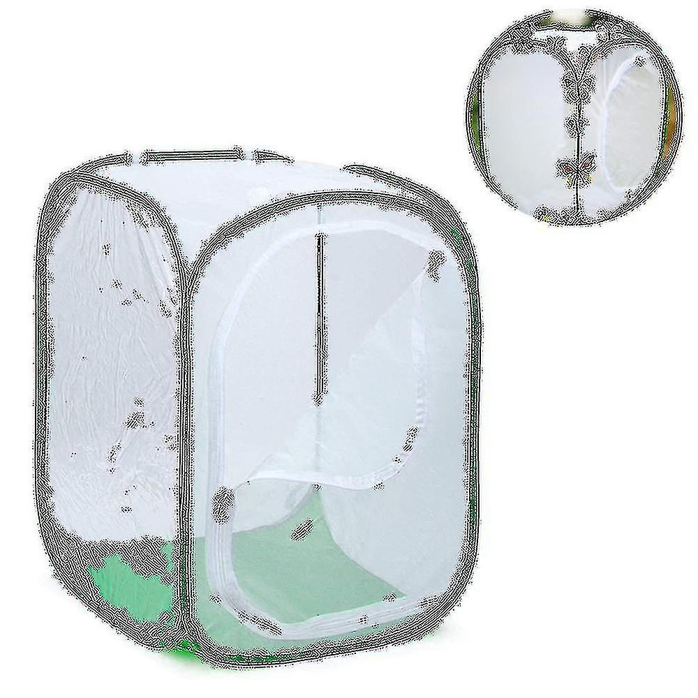 Tall Large Butterfly Habitat Cage Collapsible Terrarium Pop-up Lnches , Insect And Butterfly Net For Raising Inserts
