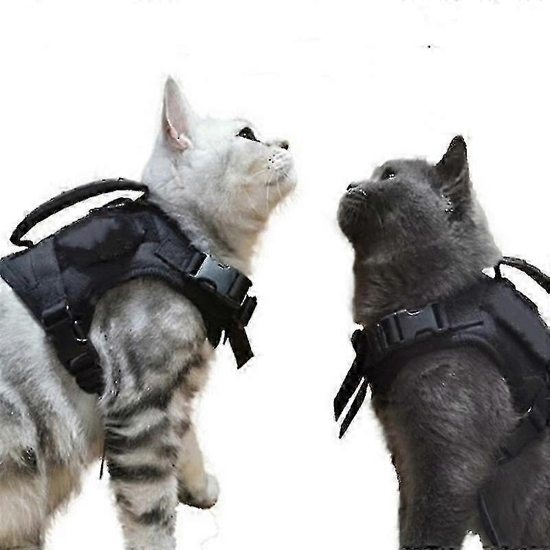 Taktisches Katzengeschirr zum Gehen Fluchtsicheres, weiches Netz verstellbares Haustierwestengeschirr für große Katze, kleiner Hund