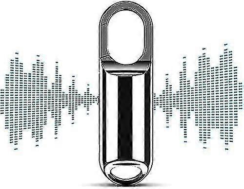 Mini Voice Activated Recorder, Usb Rechargeable, Used For Lectures, Meetings, Interviews-64gb(silver)