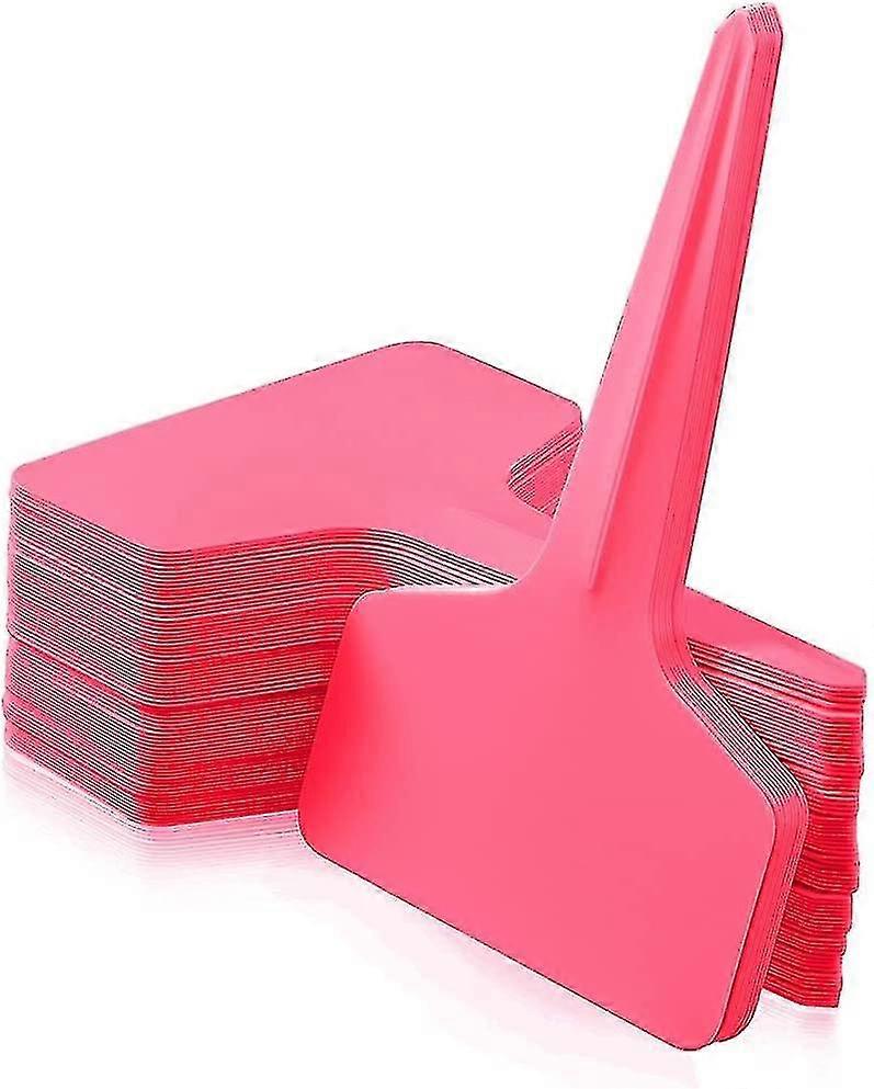 100pcs T-type Plant  Labels