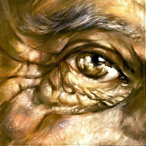 The Willows Beneath Our Humble Soil CD (2013) NEW