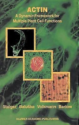 Actin: A Dynamic Framework for Multiple Plant Cell Functions