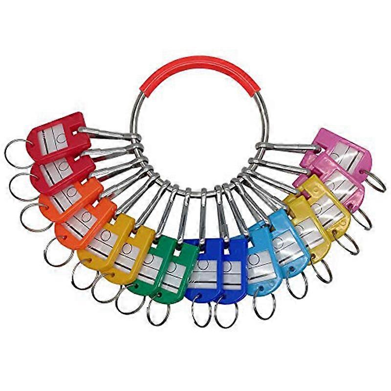 Portable Metal Ring Key Organizer with 16 Spring Hooks & Key Tags with Ring and Label Window