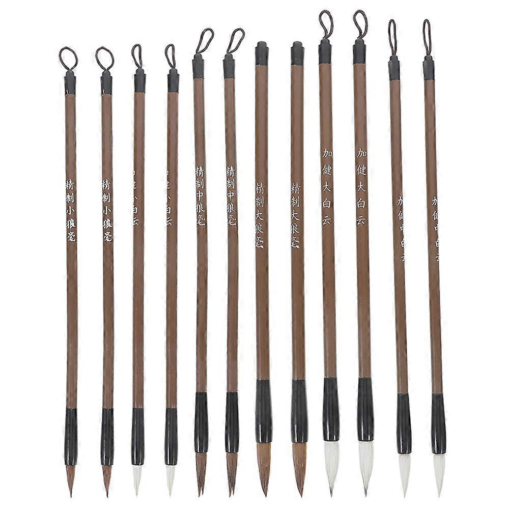 Here's a well structured product description for the **"12pcs Calligraphy Ink Brush Set For Students"** that highlights its features, benefits, and