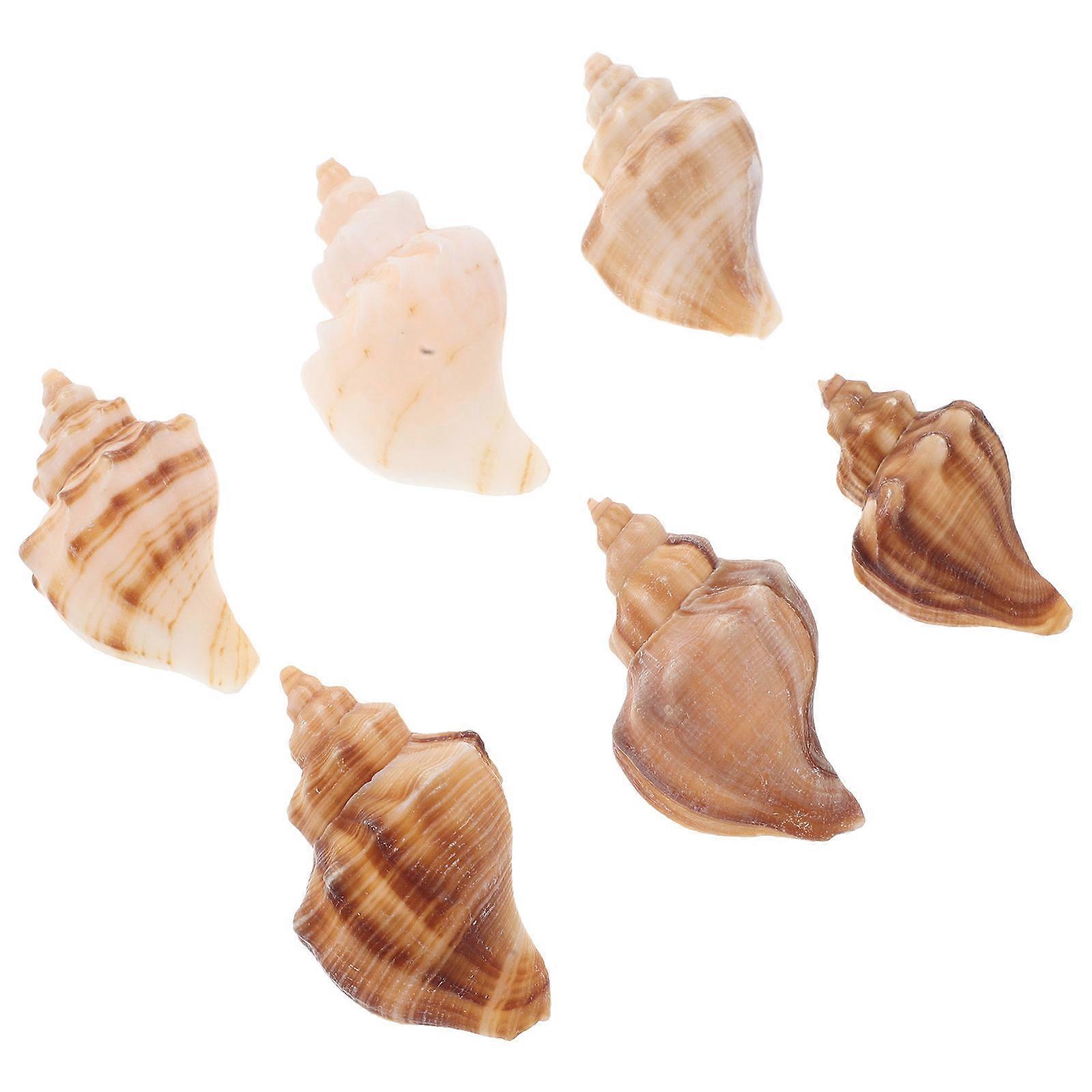 Fish Tank Decorations 6Pcs Conch Shells for Aquarium Realism