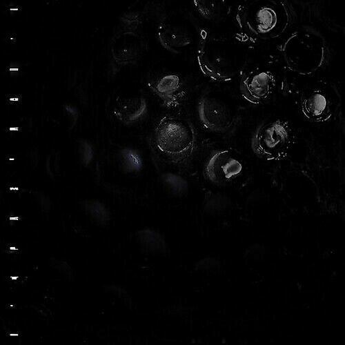 Crumb Ice Melt CD (2021) NEW