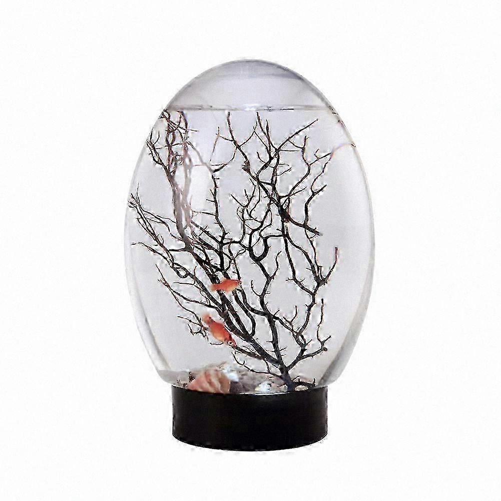 Mini Aquarium Ecosphere Closed Ecosystem LED Light Desktop No Feeding Water Changes Black Base
