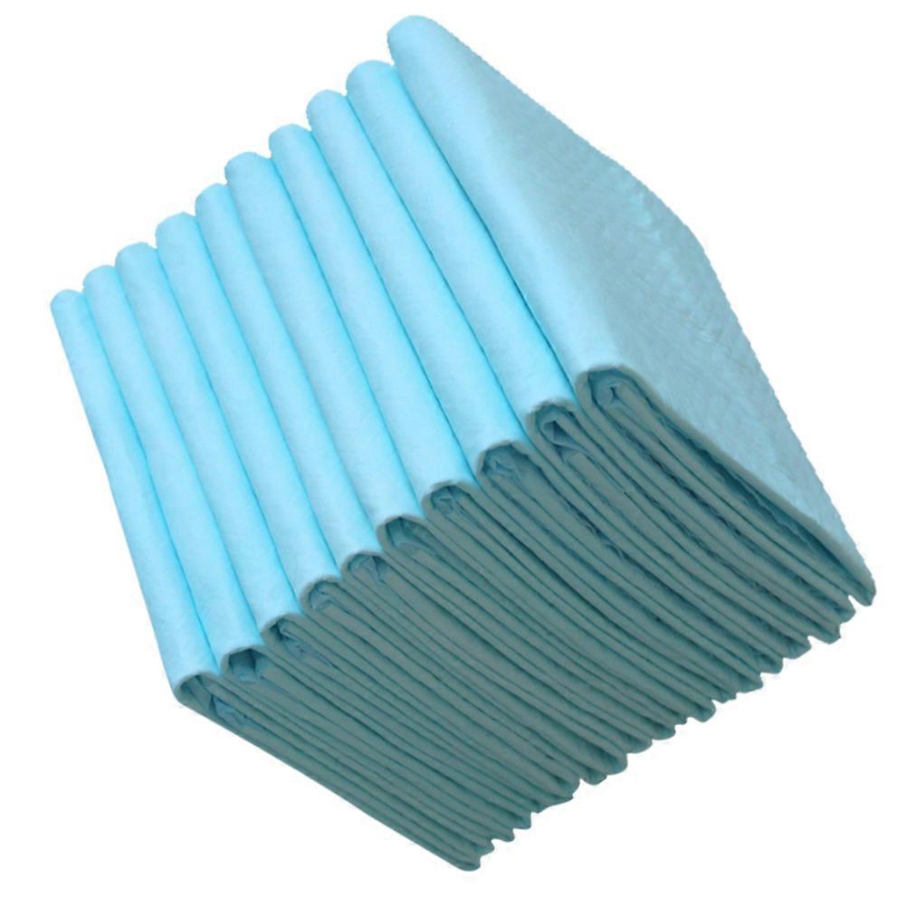 Disposable Puppy Pee Pad Underpad Sheet Protector for Bed Use 10Pcs