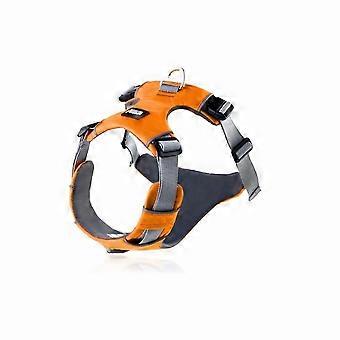 Pxcl Pet Harness, V8 Puppy Supplies, Pet Leash