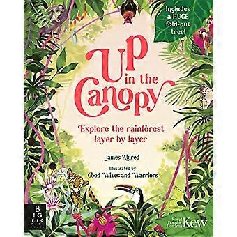 Up in the Canopy Explore the Rainforest Layer by Layer