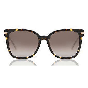 Tommy Hilfiger TH 1880/S 086/HA Full Rim Havana Women Square Sunglasses UV3 Original
