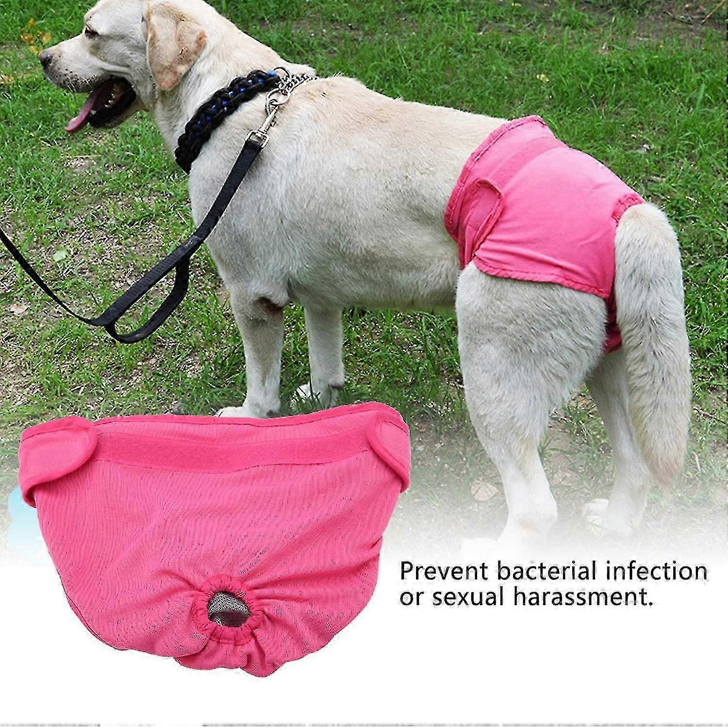 Hook-and-Loop Dog Physiological Pants