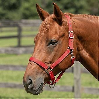 Verstelbare hoofdstel voor paarden - Duurzaam, geschikt voor training, trailritten en gebruik in de stal. Blauw.