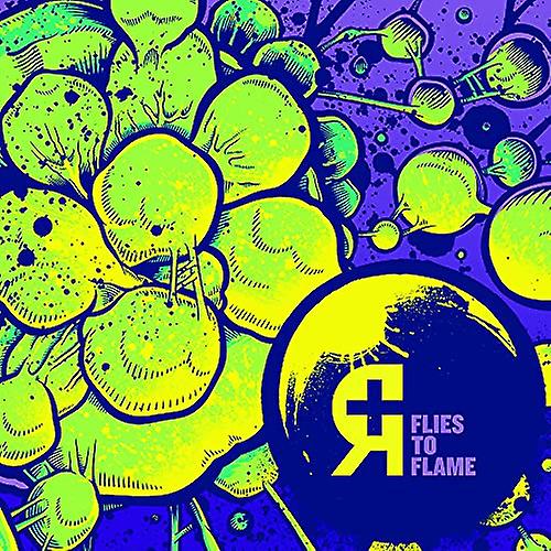 Rosetta - Flies To Flames [CD]