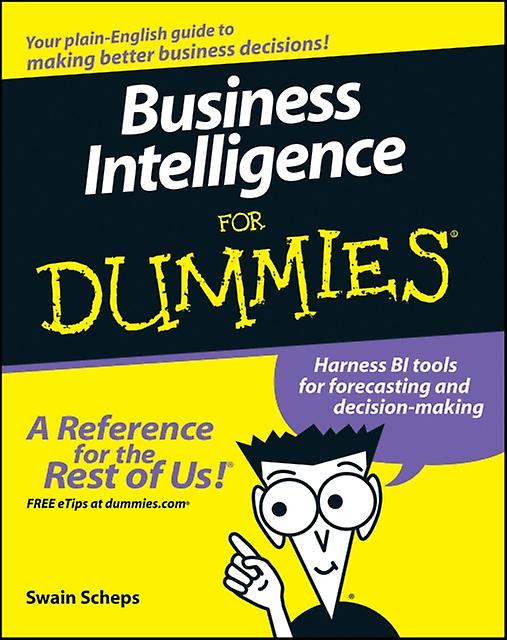 Business Intelligence For Dummies by Swain Scheps Paperback