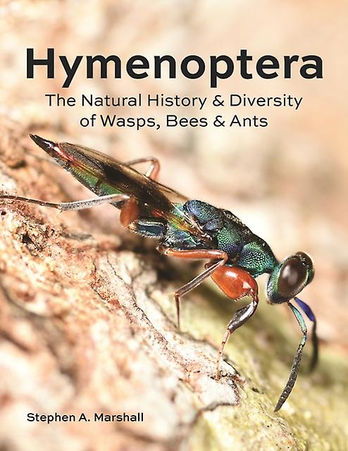 Hymenoptera - Stephen A Marshall - Insects (entomology) - Firefly Books Ltd - Hardback