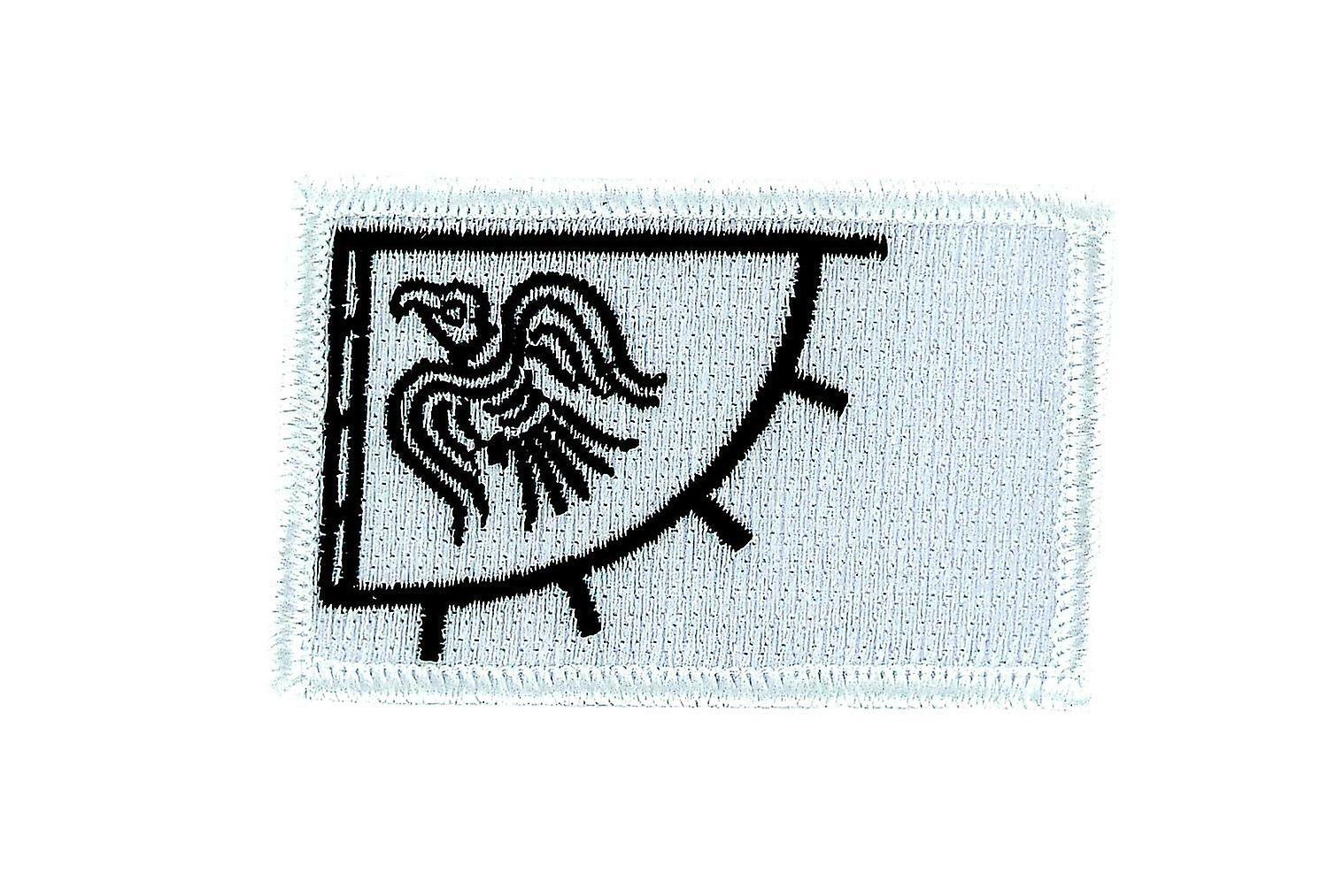 Patch Patch Brode Thermocollant Flag Raven Viking Odinnicraven Odin