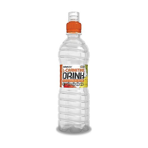 L-Carnitine Drink, Cactus Fig 15 units of 500ml