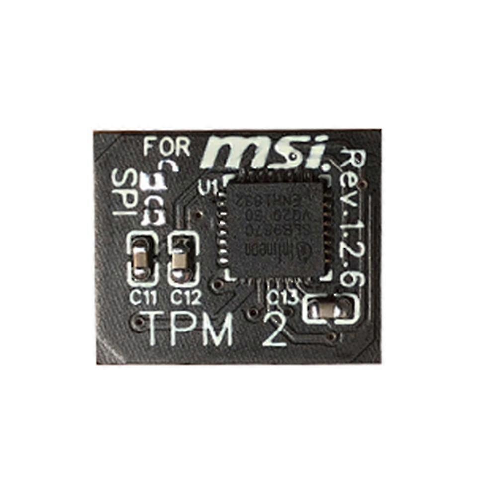 Tpm 2.0 Encryption Security Module Remote Card 12 Pin Spi Tpm2.0 Security Module For Motherboard