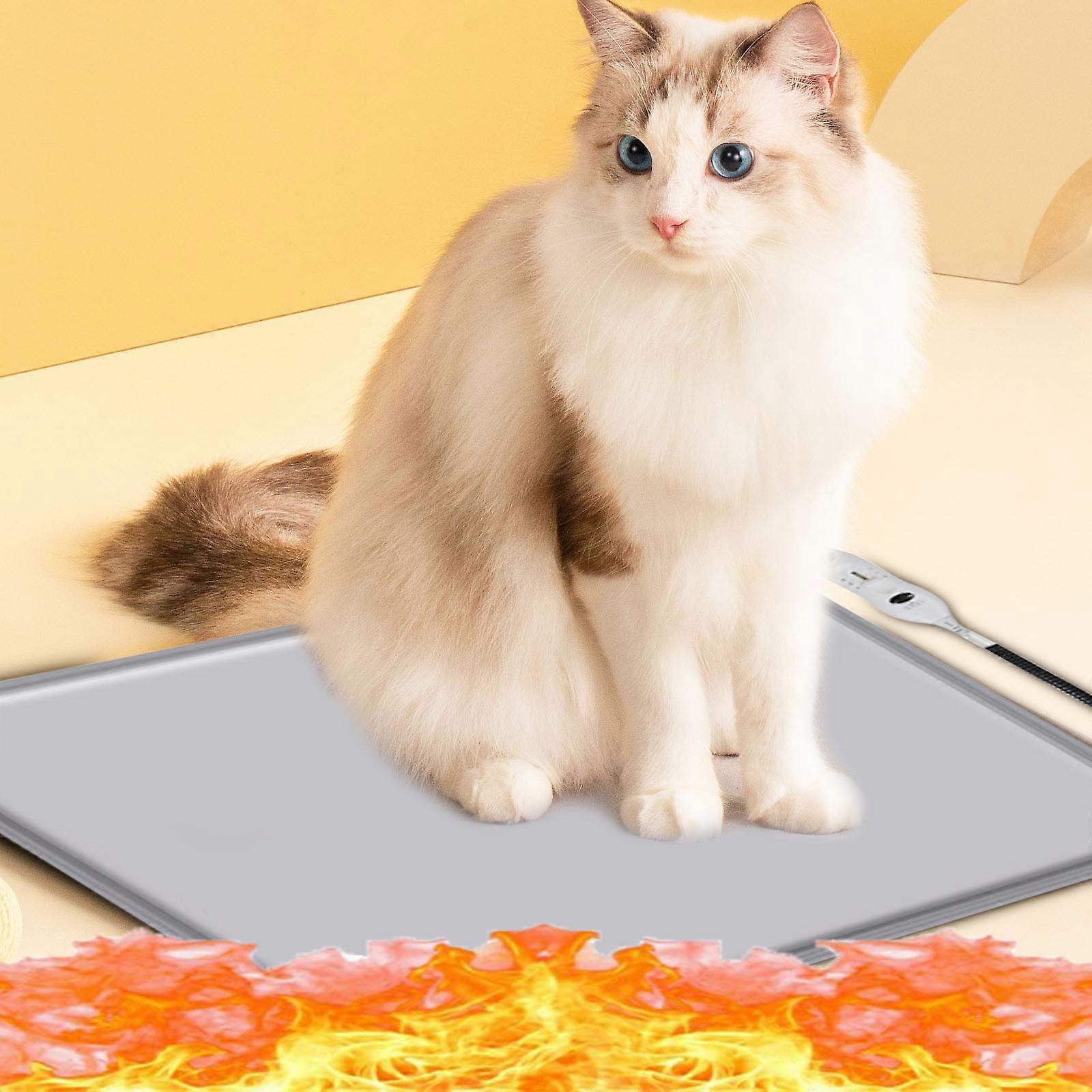 Blanket Heating Pad In Winter Practical Items To Keep Warm In Winter