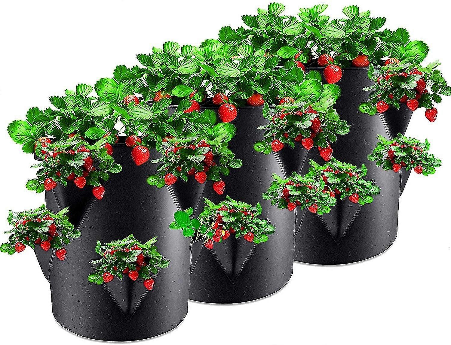 3-piece Plant Growth Bag