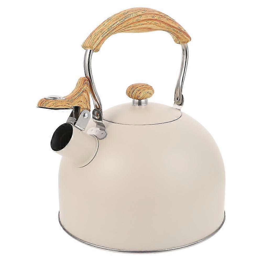 whistling kettle sounding flat steel kitchenware stainless