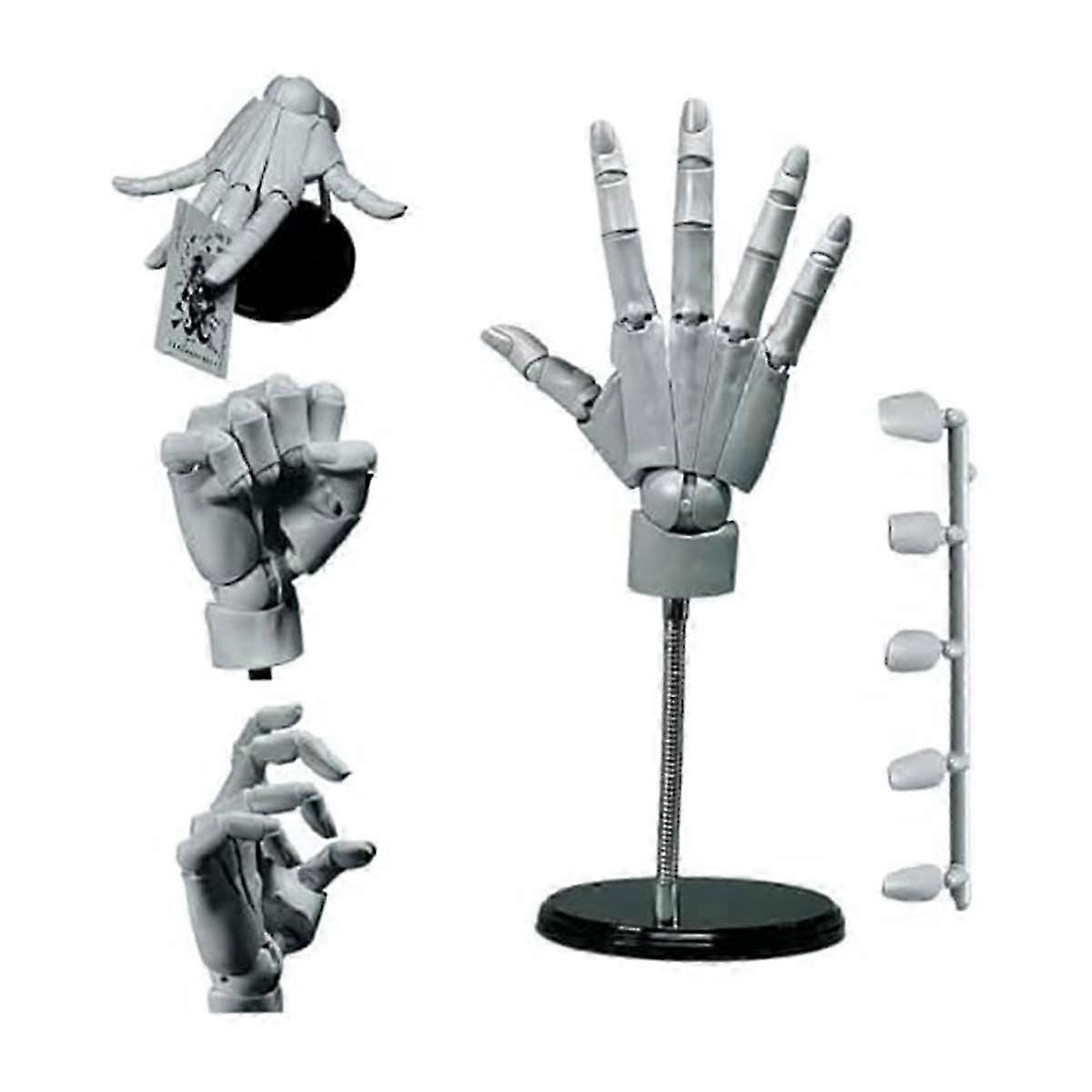 Hand Model 1:1 Articulated Mannequin Hand Moveable Joint+Base DIY PVC ABS Hand Model for Drawing,Painting,Sketching A