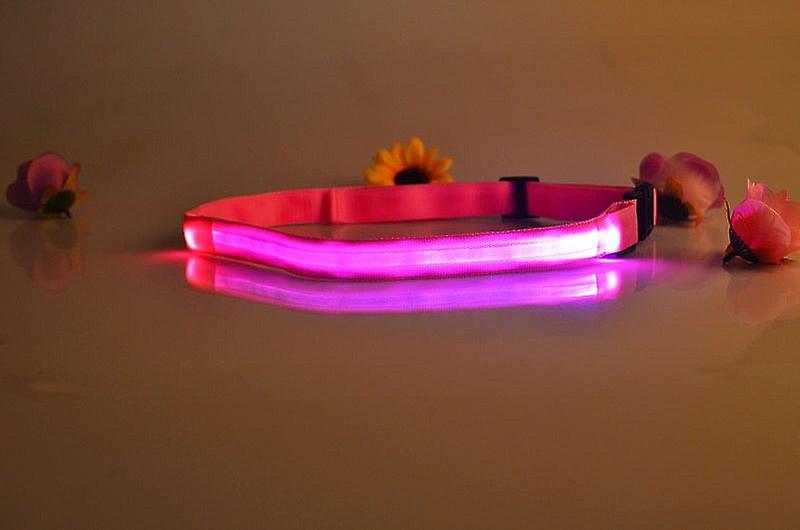 Nylon Buckle- Horse Racing, Led Luminous, Safety Warning Belt
