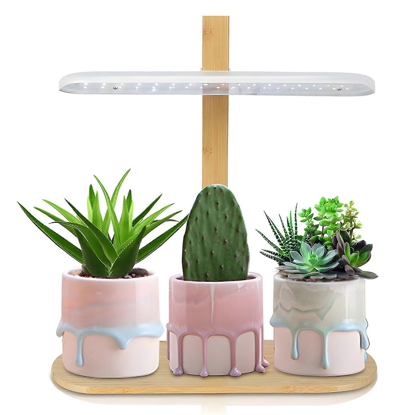 LED Full Spectrum Grow Light 10W Height Adjustable Tabletop Plant Light for Indoor Plants with 2H/4H/8H Timer 4 Dimmable Brightness for Various Plant