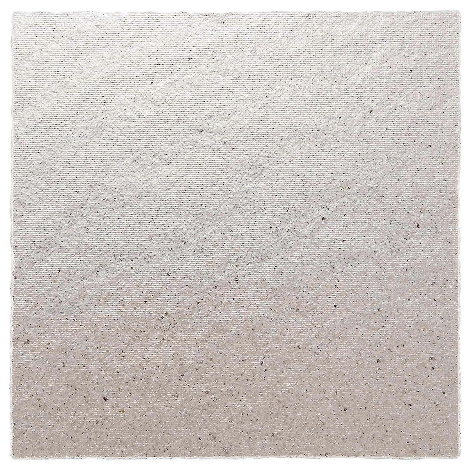2 x Replacement 12 x 12 cm Plate Mica For Microwave