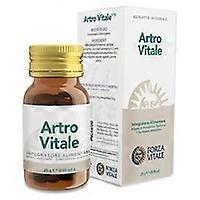 Artro Vitale 25 g