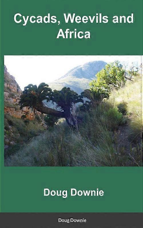 Cycads Weevils And Africa