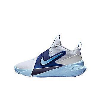 Nike Team Hustle D 12 Basketball Shoes Blue Unisex HF6279-100
