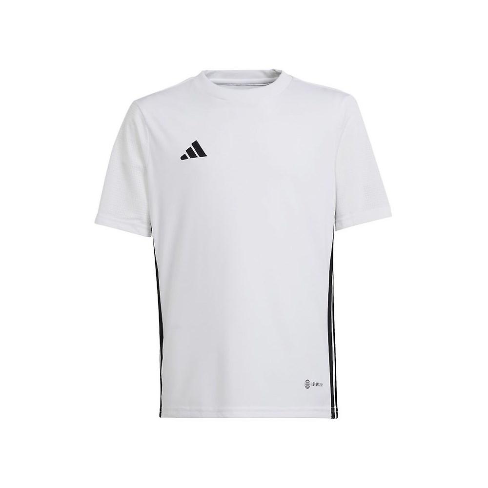 Adidas Tabela 23 Jr H44534 football all year boy